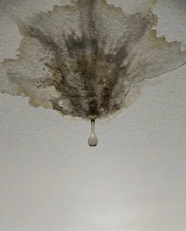 Ceiling
